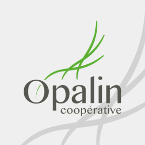 logo opalin