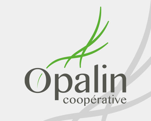 logo opalin